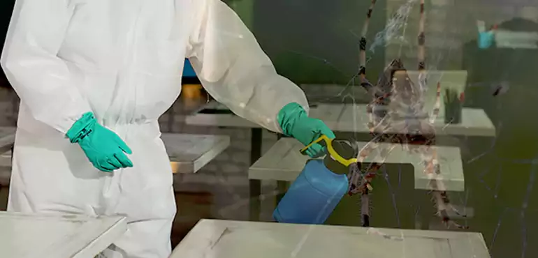Why Buyers Still Want Homes With Pest Infestations in Boston, MA?
