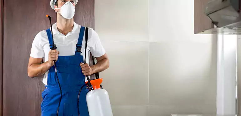 Why Boston Homeowners Choose Us When Pests Make Selling Difficult