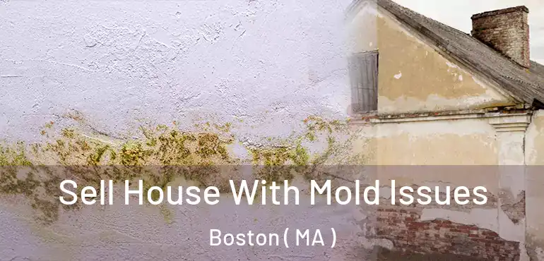  Sell House With Mold Issues Boston ( MA )